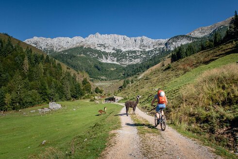Zustieg mit dem E-Bike am Wilden Kaiser auf offiziellen MTB-Routen.
