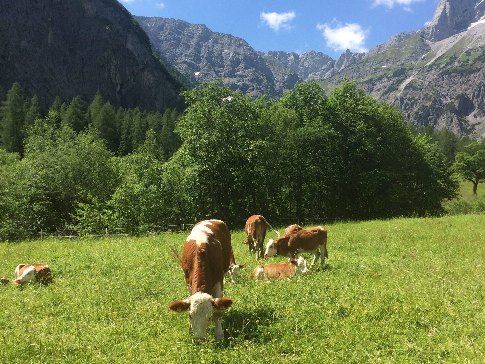 Klein Kanada Karwendel, Foto: Susa Schreiner I Climbers Paradise
