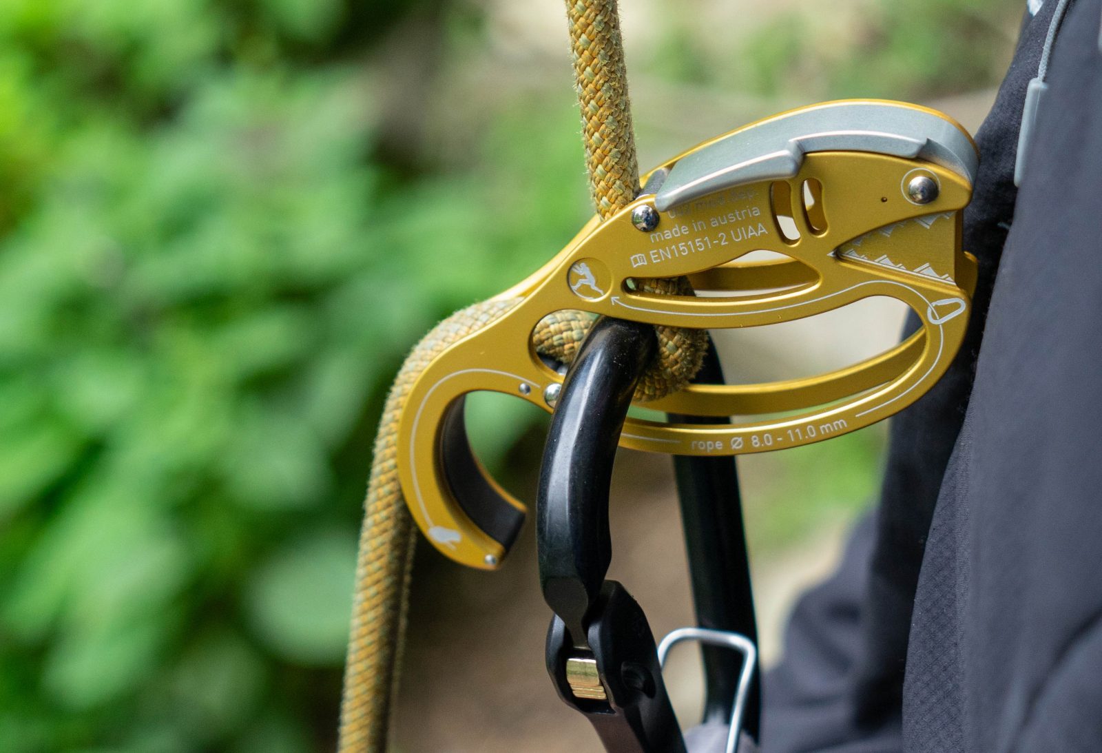 Austrialpin Gold Fish Sicherungsgerät | Climbers Paradise