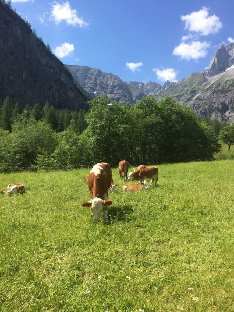 Achensee - Klein-Kanada im Karwendel, Foto: Susa Scheiner | Climbers Paradise